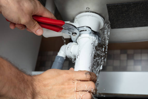Best Mold removal after water damage  in South Eliot, ME