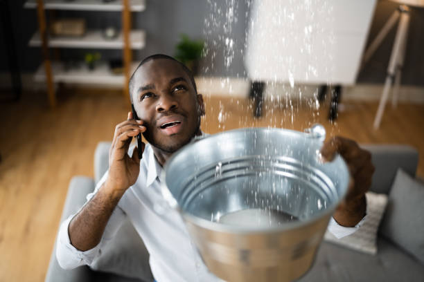Best Water damage restoration near me  in South Eliot, ME