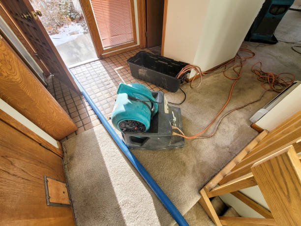  South Eliot, ME Water damage restoration Pros