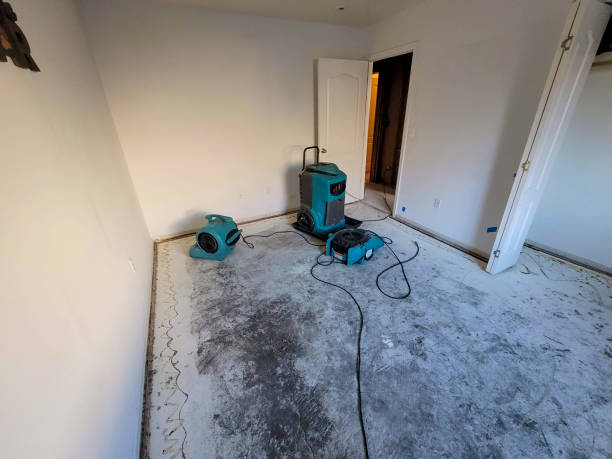 Best Carpet water damage restoration  in South Eliot, ME