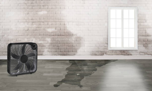 South Eliot, ME Water damage restoration Company